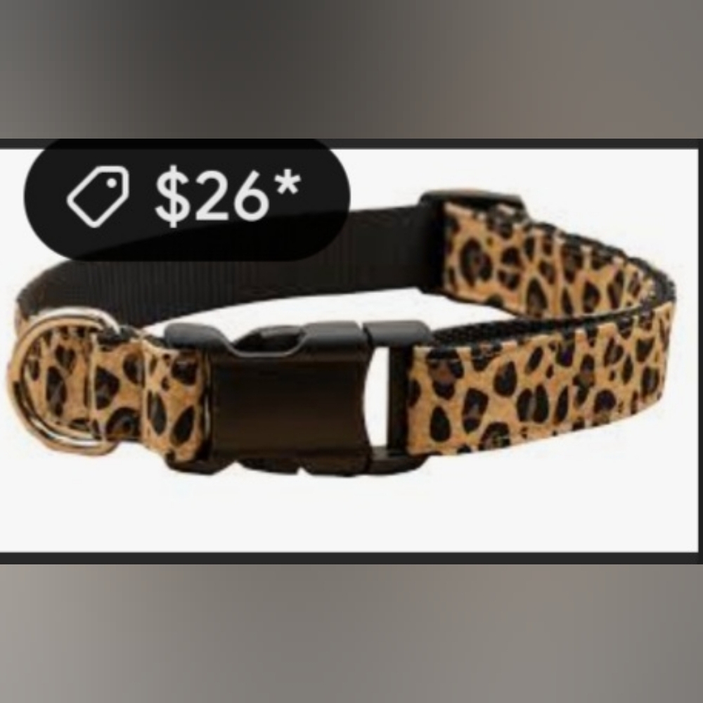 Play On DOG COLLAR 🐕 - Picture 12 of 16